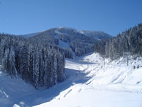 Kopaonik