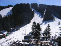 Kopaonik